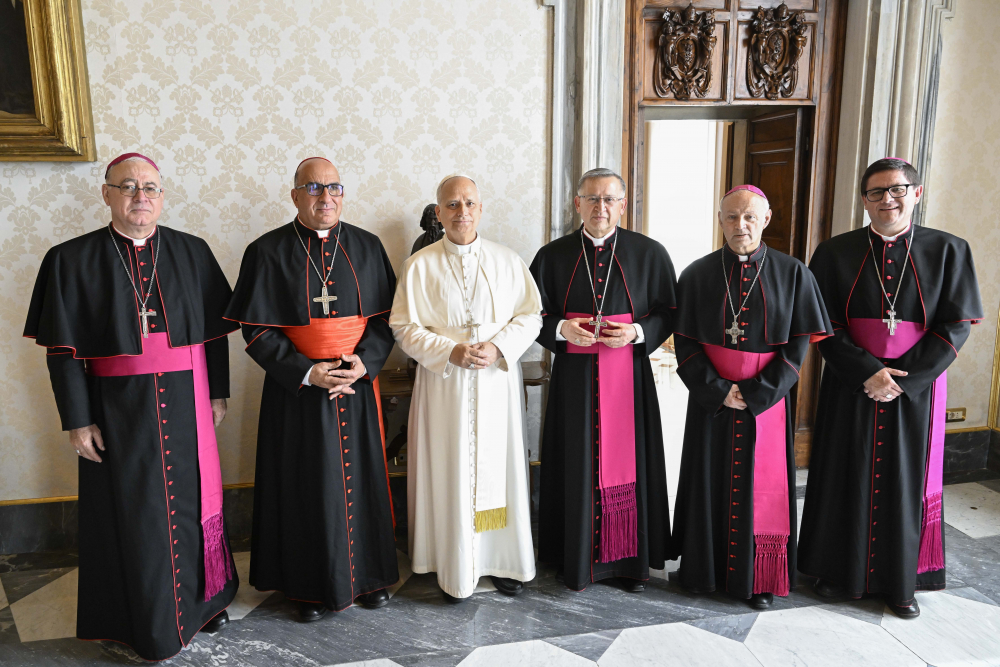 Papa León XIV se reunió con Obispos del Comité Permanente del Episcopado chileno